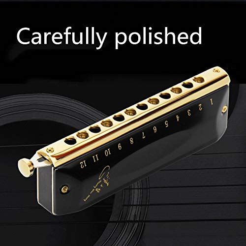 Harmonica Professional Player Étudiants Top Grade 12 Trous 48 Tons Harmonica Orgue à Bouche avec étui (Noir, Taille… - Les Beatles, Paul McCartney, John Lennon, RIngo Starr, George Harrison Harmonica Professional Player Étudiants Top Grade 12 Trous 48 Tons Harmonica Orgue à Bouche avec étui (Noir, Taille… – Image 3
