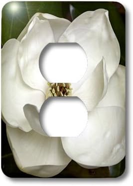 3dRose WhiteOak Photography Floral Prints - A Garden Magnolia Flower - 2 plug outlet cover (lsp_53630_6) image 4
