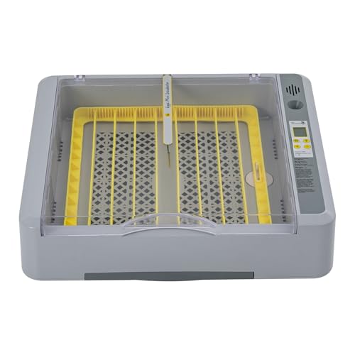 Brutautomat Vollautomatisch, Automatisches Inkubator 36 Eier, Inkubator mit LED-Anzeige, Brutmaschine Temperaturregelung für Eier, Wachteleier, Papageieneier, Taubeneier