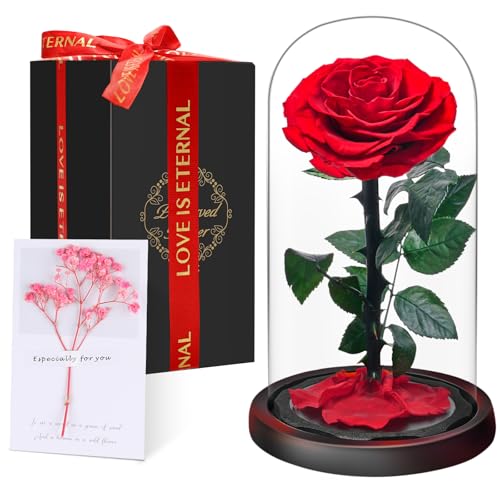 Rosa Eterna en Cúpula de Cristal, Rosa Bella y Bestia, Flores Naturale Preservada, Ideas Rosas Regalos para Día de la Madre, Día de San Valentín, Aniversario,Navidad, Mujer, Mamá, Novia, Abuela