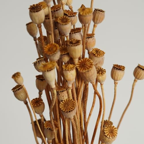 Ramo mini de flores secas Shirley para decoración miniatura 3