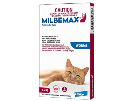 cat heartworm medications