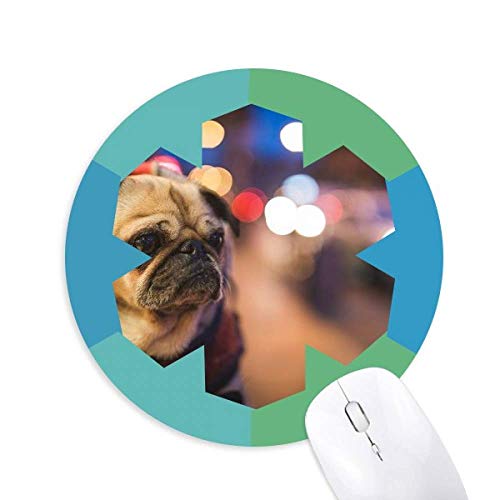 ybgƓ̌ǓƂȎʐ^ ~`S̐}EXpbh