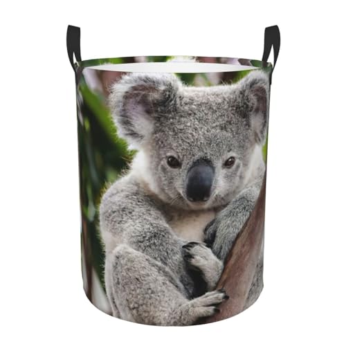 Cesta de lavandería con estampado de koala, cesta alta para almacenamiento de mantas para dormitorio
