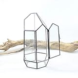 ❤ Tamaño ideal para helechos, musgos, suculentas, plantas de aire, cactus u otras plantas con un fácil cuidado. Ideal para la instalación en estantes y alféizares de ventanas.