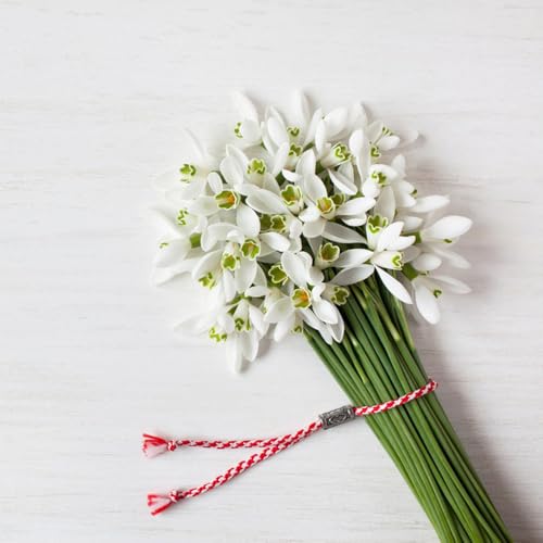 bulbos de campanillas resistentes y perennes, prado de flores campanillas de invierno bulbos Plantas de balcón resistentes bulbos en flor de primavera, Las plantas de jardín son 10pcs