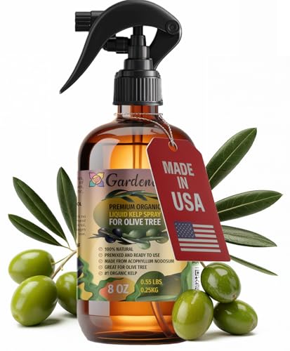 GARDENERA Professional Organic Liquid Kelp Spray for Olive Tree Plants - 8 oz - Ready-to-Use Fully...