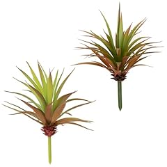 2 Pcs Red Agave