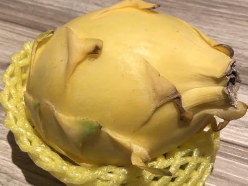 熱帯果樹ゴールデンドラゴンフルーツ 黄色黄皮白肉無棘 火龍果種子50粒のサムネイル