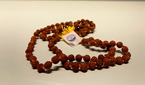 Jaipur Certified 5 Mukhi Rudraksha Mala for Men/Women - 108+1 Beads (5mm, 34 Inches) - 100% Natural Brown Beads - Gift for Spirituality & Meditation - Pack of 14