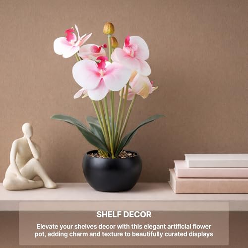 Image of Habere India-All the Cultures Fabricating India Moth Orchid Artificial Plants with Pot for Home Decor | Small Fake Flower Plants for Living Room & Indoor Decoration (Design03: L12 x W12 x H33 cm)