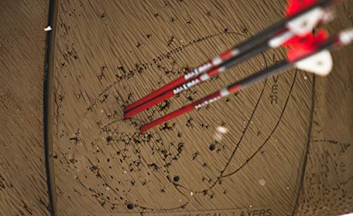 Field Logic Unisex Adult Glendel Full-Rut Buck Insert Core Stocked 3D Targets, Brown, Full Rut 14 X14 Us #TOP2