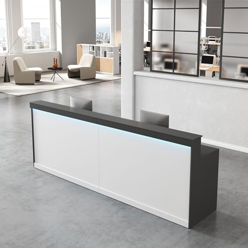 Modern Reception Counter with Shelves