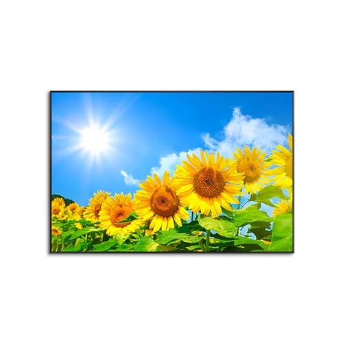ひまわり 夏 花束 フラワー 植物 太陽 モネ ゴッホ 青空 園芸 生地 インテリア テレワーク 背景 リモートワーク 大きい 壁 布 目隠し 部屋 飾り 間仕切り 向日葵 アルミ合金枠きの完成品? (50x70cm(20x28in),A)