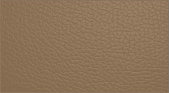 Leather Furniture Restorer Repair Paint in Colours, for sofa, car seats, shoes, hand bag restoring colour (Bahama Beige, 250ml Bottle)