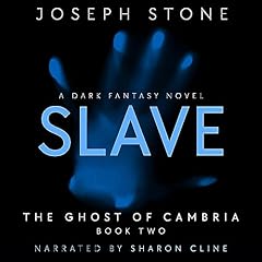 『Slave』のカバーアート