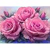 Sugamm 5D DIY Diamond Painting Roos volledige Diamant Schilderij Bloem Kit strassteentjes, borduurwerk foto’s Cross…