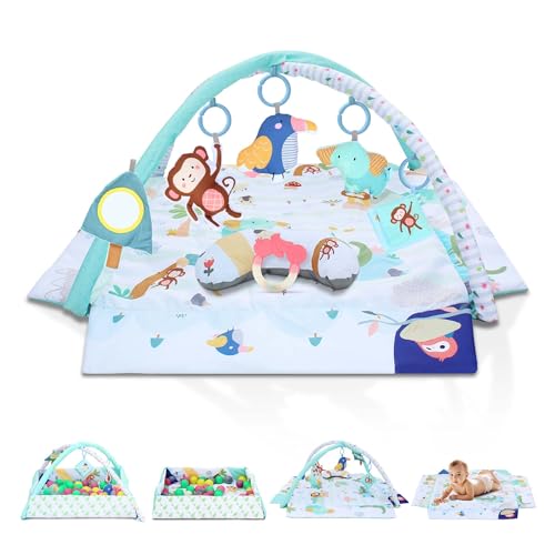 Image of EzyWay Baby Gym Play Mat, 8-in-1 Tummy Time Mat & Ball Pit with 6 Toys, Washable Baby Activity Play Mat for Visual, Hearing, Sensory, Motor Development, Toddler Infant 0-3-6-9-12 Month Picnic Theme