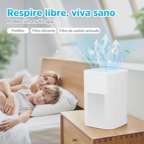 Recopilación de Purificador de Aire Walmart , tabla con los diez mejores. 27 Imagen adicional