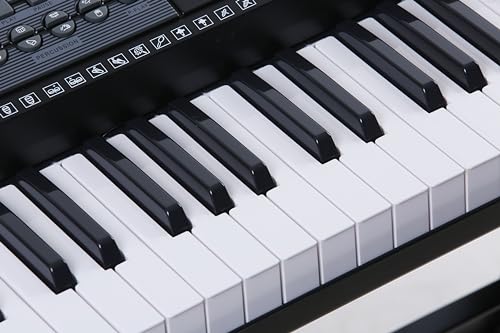 Mulucky Clavier Piano Piano 61 Touches pour Débutant/Professionnel, Piano Électrique avec Microphone & Application Piano, Prend en charge MP3/USB MIDI/Microphone/Insertion de la Pédale - Les Beatles, Paul McCartney, John Lennon, RIngo Starr, George Harrison Mulucky Clavier Piano Piano 61 Touches pour Débutant/Professionnel, Piano Électrique avec Microphone & Application Piano, Prend en charge MP3/USB MIDI/Microphone/Insertion de la Pédale – Image 6