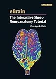 eBrain: The Interactive Sheep Neuroanatomy Tutorial