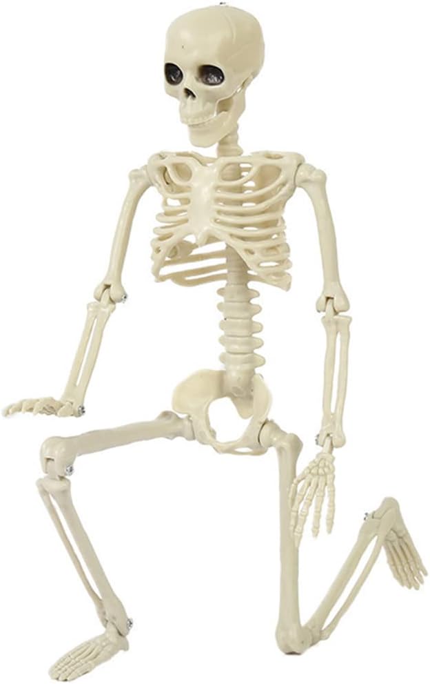 Posable Skeleton -for Haunted House Graveyard Props Decorations，Creepy Decor 16”