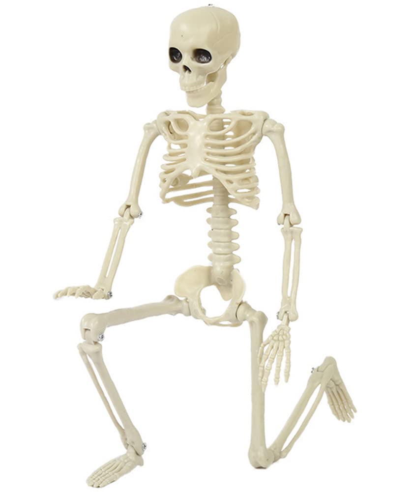 Posable Skeleton -for Haunted House Graveyard Props Decorations，Creepy Decor 16”