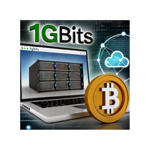 How to Buy a VPS with Bitcoin: Exploring 1Gbits and Crypto Hosting Solutions