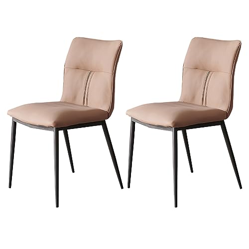 Chaises de salle à manger confortables avec pieds en métal pour salon et cuisine x2