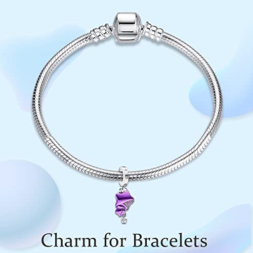 Mgiul Purple Star Dangle Charms For Women Bracelets Necklaces With 5A Cubic Zirconia,925 Sterling Silver Pendants Beads Jewelry Gift For Women Girls Boys At Christmas,Mother's Day,Birthday. #TOP3
