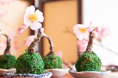 フェイクフラワー　苔玉 苔玉 造花」の人気商品一覧 | 安い商品を通販サイトから探す - 価格.com