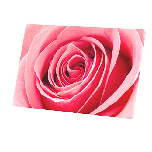Tableau Rose Décoratif pour Réchauffer un Mur Blanc Vide