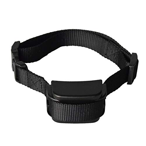 Best Invisible Pet Fences In India Mix And Grind