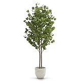 MAIA SHOP Eucalipto Artificial 150 cm con Tronco Natural, Planta Artificial Grande Realista para Decoración de Salón, Oficina, Hotel o Eventos, Árbol Decorativo Verde de Interior