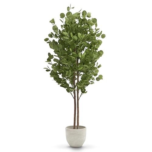 MAIA SHOP Eucalipto Artificial 150 cm con Tronco Natural, Planta Artificial Grande Realista para Decoración de Salón, Oficina, Hotel o Eventos, Árbol Decorativo Verde de Interior