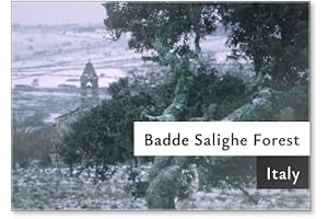 House of Noa - Sardinia Fridge Magnet - Church in The Snow,...