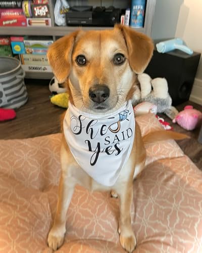 My Humans are Getting Married She Said Yes Dog Bandana for Wedding Engagement Photos, Pet Scarf Accessories for Dog Lovers, Bridal Shower Gift, Pack of 2