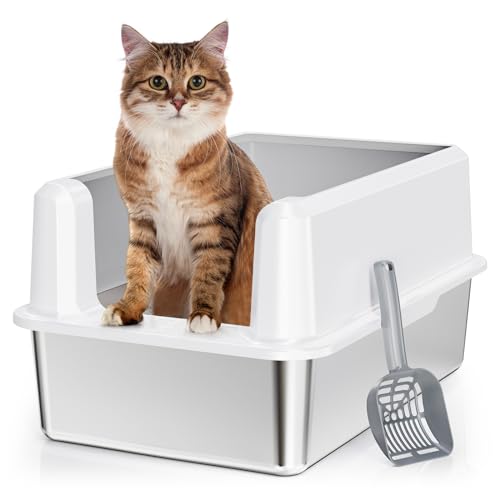 Biggest Litter Box The 15 best products compared Wild Explained