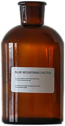 Jarrón de cristal ámbar, 1 jarrón floral vintage vacío, botella de vidrio decorativa, tarro de boticario marrón, decoración del hogar, decoración de