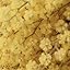 Aganice - Cardamom · Mimosa · Tobacco