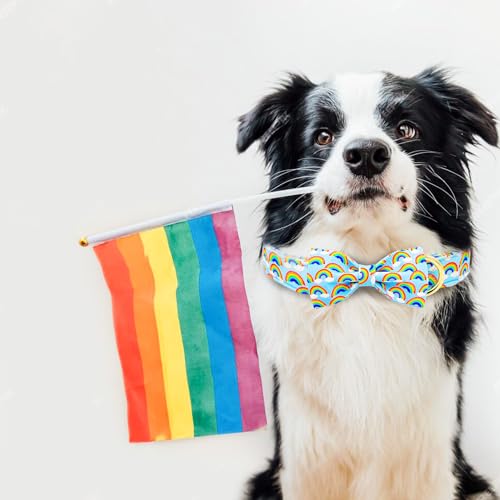 Tunkoo Pride Dog Collar with Rainbow Bow Tie for LGBTQ, Metal Buckle Pet Collar Adjustable Cotton Collar for Small Medium Large Boys Girls Dogs, L by Tunkoo - Used condition - Image 5