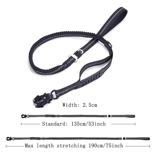 Collier pour chien avec poignee robuste et finitions durables - 6