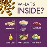 PURPLE CAT Feline Biome Probiotic Treats for Cats – Cat Gut & Digestive Support, Pet Diarrhea Relief & Immune Health – Feline-Specific Strains, Healthy Treats, Real Chicken Liver Flavor – 60 Chews - Image 6