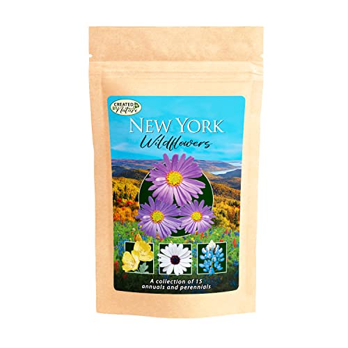 New York Wildflower Seed Mix, Covers 325 Sq Ft, 15 Flower Varieties, Over 50,000 Seeds - Created By Nature