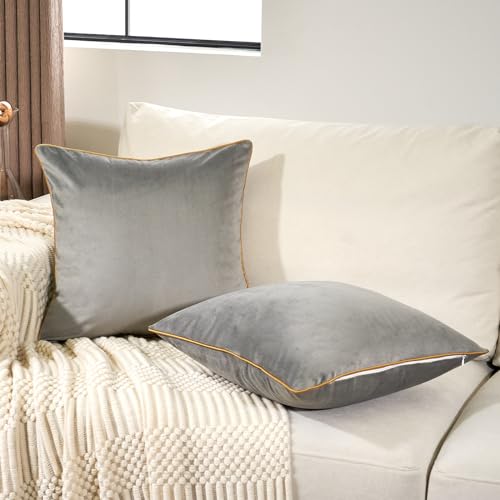 Aeckself Pack of 2 Gray Velvet Pillow Covers 18 x