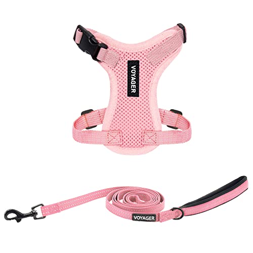 Image of Best Pet Supplies Voyager Step-in Lock Pet Harness w Reflective Pet Leash Combo Set with Neoprene Handle 5ft - Supports Small, Medium and Large Breed Puppies /Cats - Pink Set, XXXS