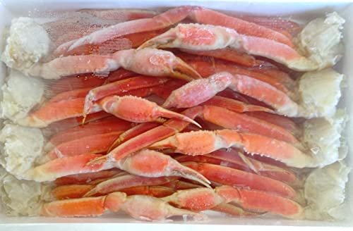 {C 킢 ZNV RL  2kgi8j Ⓚ g킢 Jj  ϔ