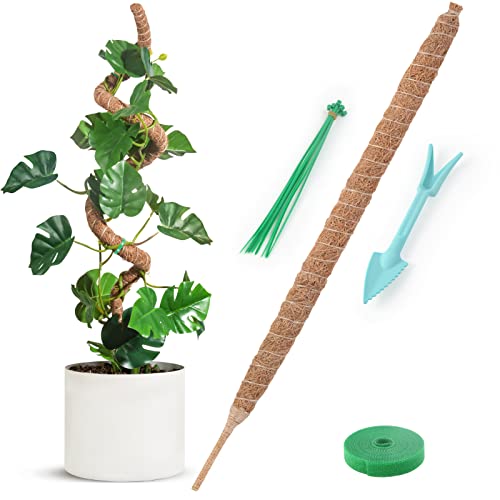 Pisol Moss Pole for Plants Monstera, Bendable Plant Sticks Support, Plant Stakes for Indoor Potted Plant, 45'' Coco Coir Pole Plant Support for Sphagnum, Pothos and Other Climbing Plants(1 PCS)