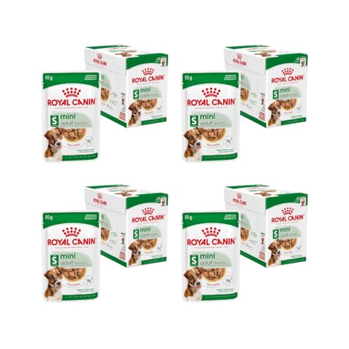 Royal Canin Mini Adult in Salsa | Confezione da 4 | 4 x 12 x 85 g | Alimento umido per cani adulti di piccola taglia (da 1 a 10 kg) | Da 10 mesi a 12 anni | Contenuto energetico adattato