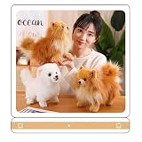 KUKUShining Soft Pomeranian Hund Kuscheltier, 23CM Niedliches Welpen Plüschtier Stofftier Kinder Ideal für gemütliches Spielen und Schlafzimmerdekoratio(BrownBomei)